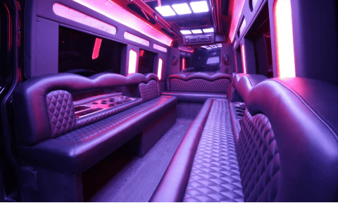 Asheville 14 Passenger Sprinter Bus Interior