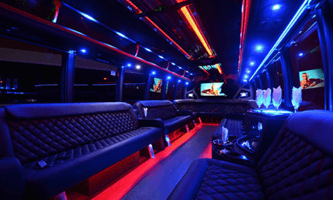 Asheville 30 Passenger Party Bus Black Interior