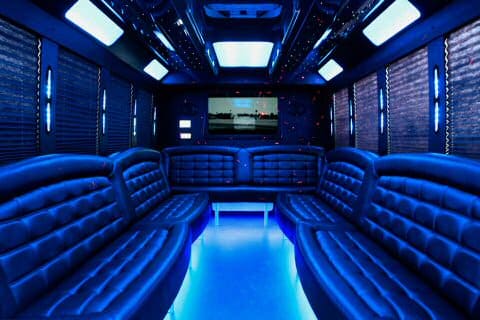 Asheville 36 Passenger Party Bus Interior